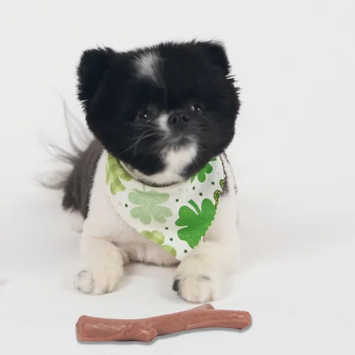 Vista 12 de SPOT Bam-Bones Plus Branch - Fibra de bambú y nailon, masticable duradero y de larga duración para perros masticadores agresivos, gran juguete