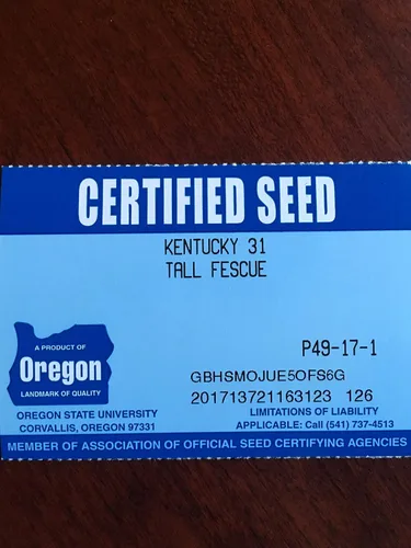 Vista 5 de Semilla de césped Festuca Alta Kentucky 31 K31 de Eretz - ¡Elige el tamaño! Certificado por el estado, sin rellenos, sin malas hierbas u otras