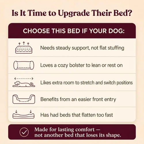 Vista 4 de Cama ortopédica refrescante para perros pequeños, espuma viscoelástica con funda lavable Memory foam puppy bed for small dog with arthritis
