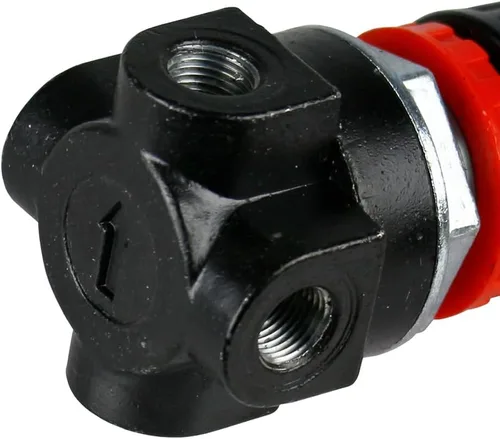 Vista 5 de FC319205000 Rolair Regulador del compresor de aire G 1/4