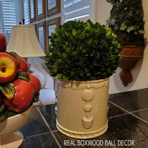 Vista 2 de Esfera decorativa de boj preservada, hojas de boj reales, plantas verdes, decoración del hogar para Navidad, Día de Acción de Gracias, regalos que