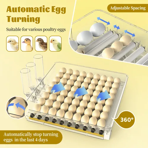 Vista 6 de Incubadora de huevos para incubar huevos 128 incubadora de huevos de pollo con giro automático de huevos y pantalla de humedad, control