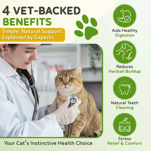 Vista 3 de Todd's Seeds – Hierba para gatos de interior o exterior, 1 libra de hierba de trigo – Premium, 100% libre de químicos (mejor que orgánico) sin GMO