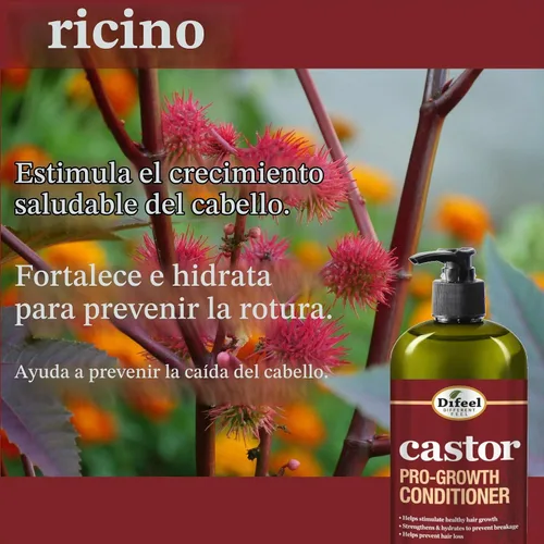 Vista 2 de Difeel Acondicionador Castor Pro-Growth 12 oz.