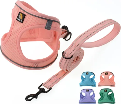 Vista 22 de BELLA & PAL Arnés de chaleco con entrada por pasos para perros pequeños y medianos, arnés para perros pequeños sin tirones con juego de correa