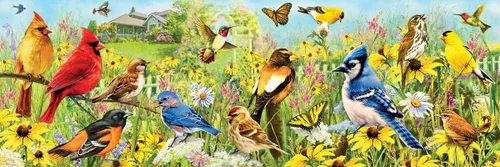 Vista 2 de EuroGraphics Pájaros de patio trasero panorámico 1000pc