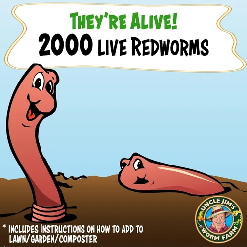 Vista 2 de Uncle Jim's Worm Farm. Incluye 2000 gusanos wiggler rojos vivos.