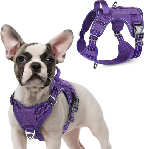 Vista 44 de rabbitgoo Arnés táctico para perros pequeños, chaleco de servicio militar sin tirones con asa y Molle, de fácil control para entrenar y caminar