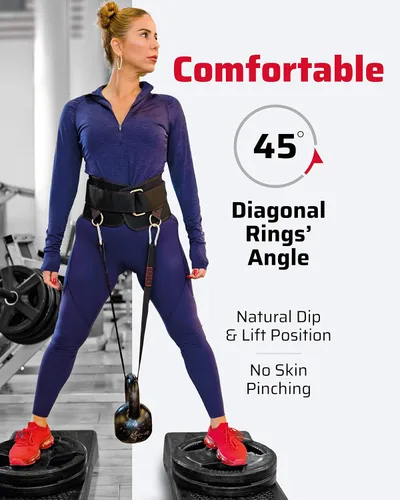 Vista 2 de THEFITGUY Paquete de sujeción de cable de cuerda ergonómica para tríceps y cinturón de inmersión definitivo