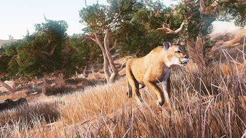 Vista 8 de Hunting Simulator - Nintendo Switch