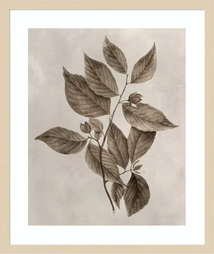 Vista 13 de Amanti Art Lienzo decorativo para pared enmarcado de 24 x 20 pulgadas, muestra de árbol III de Vision Studio, arte de pared de naturaleza