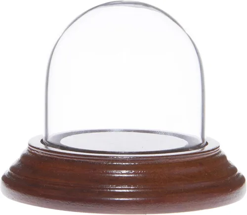 Vista 6 de Plymor 1.875" x 1.875" Mini cristal Display Dome Cloche (base de chapa de caoba oscura)