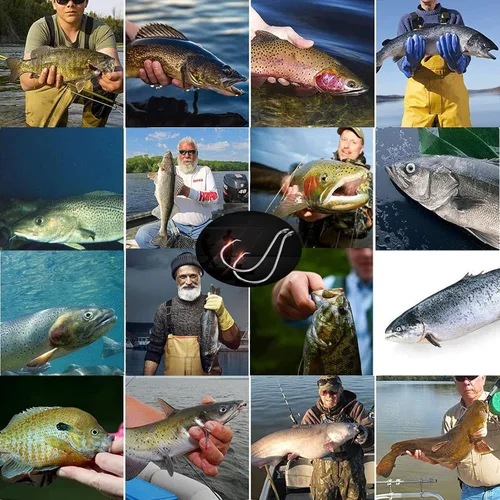 Vista 7 de Afmivs Anzuelos de pesca para aparejos de pesca, 160 ganchos circulares para agua salada, anzuelos de pesca de agua salada, gancho de pulpo de bagre