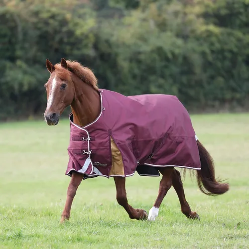 Vista 2 de Highlander Plus - Manta de cuello estándar para caballo (3.53 onzas, color granate, 63 pulgadas)