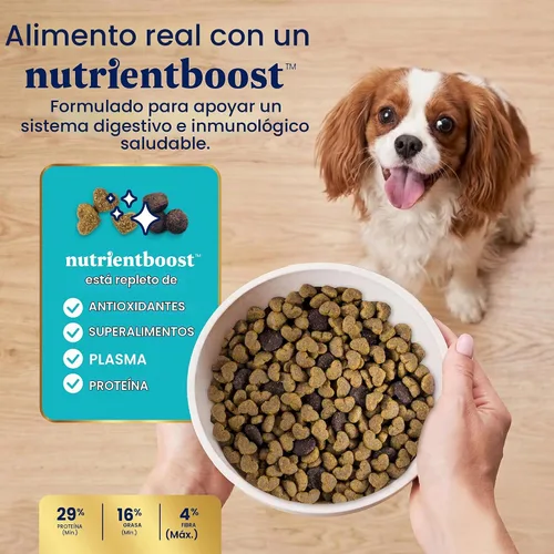 Vista 7 de Solid Gold Toy & Small Breed Dog Food Dry Small Bites - Alimento para perros de grano entero de bisonte - Croquetas saludables para perros con alta