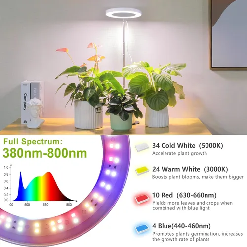 Vista 6 de LORDEM Luz de crecimiento, luz LED para plantas de interior, lámpara de crecimiento de escritorio de espectro completo con temporizador automático