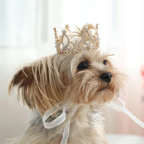 Vista 9 de Lovelyshop Pet Series Corona para Perro/Gato Redonda Completa Chapada en Oro con Diamantes de Imitación y Perlas Reales para Disfraz de Familia Real