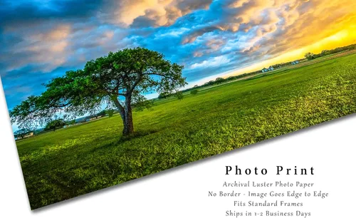 Vista 2 de Sky Photography Print (Not Framed) Picture of Colorful Storm Clouds Over Lone Tree at Sunset on Stormy Evening in Texas Country Wall Art Nature