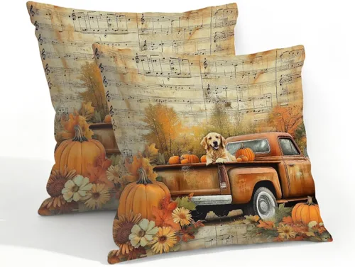 Vista 61 de Juego de 2 fundas de almohada impermeables para exteriores, 16 x 16 pulgadas, fundas de almohada decorativas de patio para muebles de jardín, sofá