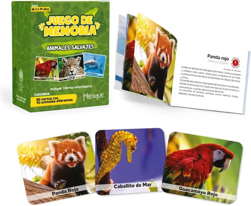 Vista 15 de Menique Juego de Memoria de Banderas de Estados de EE. UU. – 100 Tarjetas (50 Parejas) – Aprende Banderas de Estados, Capitales y Abreviaturas