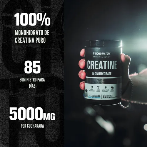 Vista 3 de Jacked Factory Monohidrato de creatina en polvo de 15 oz – Suplemento diario de creatina de 0.18 oz para hombres y mujeres, apto para veganos
