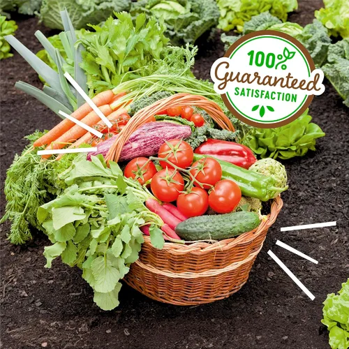 Vista 8 de Back to The Roots Harina de sangre 100% orgánica Fabricada en los EE. UU. Nutrición premium para jardinería de plantas de interior y exterior