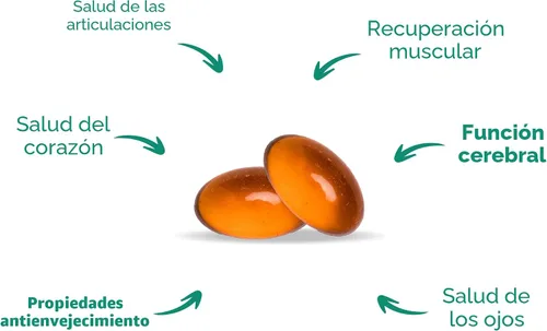 Vista 3 de Haka Life GLX3 - Cápsulas de aceite de mejillón de labios verdes para apoyo articular y muscular Suplemento de mejillón de labios verdes Omega-3