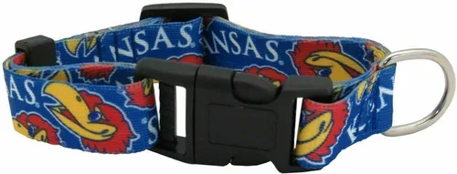 Vista 42 de Littlearth Collar para mascotas del equipo NCAA