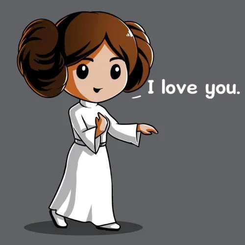 Vista 2 de TeeTurtle Camiseta estándar de Star Wars I Know