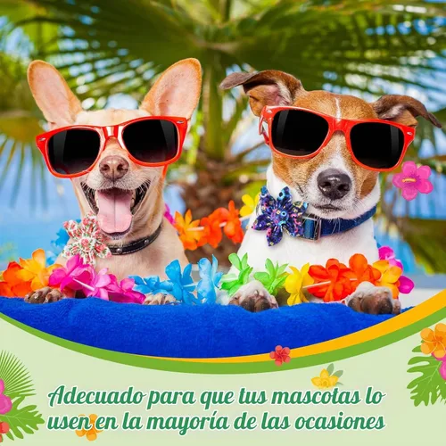 Vista 2 de Sanwuta 36 piezas de collar de perro de flores accesorios para mascotas, collar ajustable para perro, accesorio de otoño de flores para gatos