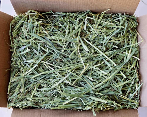 Vista 2 de Heno de avena para conejos y mascotas pequeñas, 5 libras