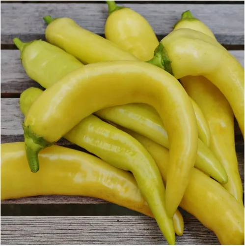 Vista 2 de Everwilde Farms - Semillas de pimiento dulce de plátano dulce de 1 onza - Gold Vault