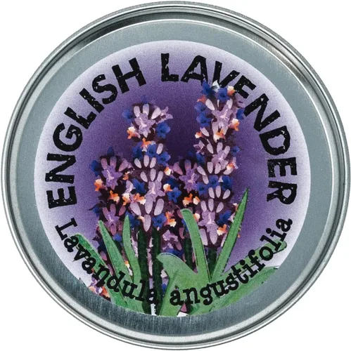 Vista 2 de Lavanda Kit de cultivo de semillas de flores The Jonsteen Company
