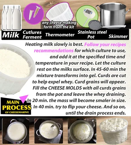 Vista 4 de PetriStor Kit de 7 piezas para hacer quesos para principiantes №1 – Moldes de queso suave + molde de queso con un pistón seguidor – Suministros