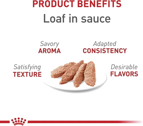 Vista 2 de Royal Canin Feline Health Nutrition - Pan instintivo para adultos en salsa para gatos, 3 onzas (paquete de 24)
