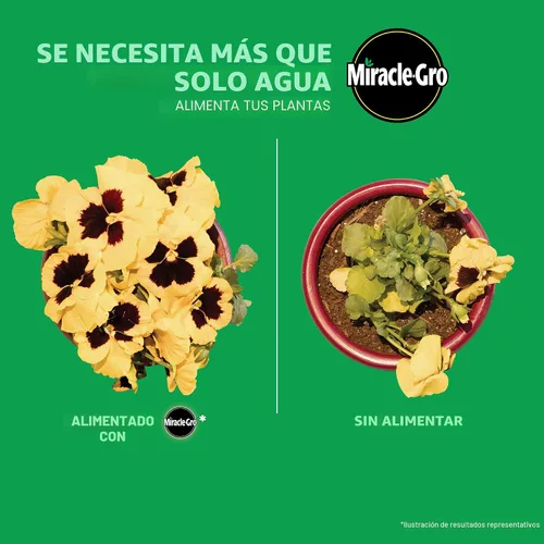 Vista 4 de Miracle Gro 101430 Regadera individual Alimento vegetal multiusos 24-8-16 24 unidades Soluble en agua, fertilizante para flores, verduras, plantas