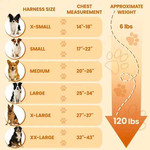 Vista 5 de Bark Appeal - Arnés para perro Aqua Blue sin tirones para mascotas de tamaño extra pequeño – Chaleco reflectante ajustable con 3 clips de correa
