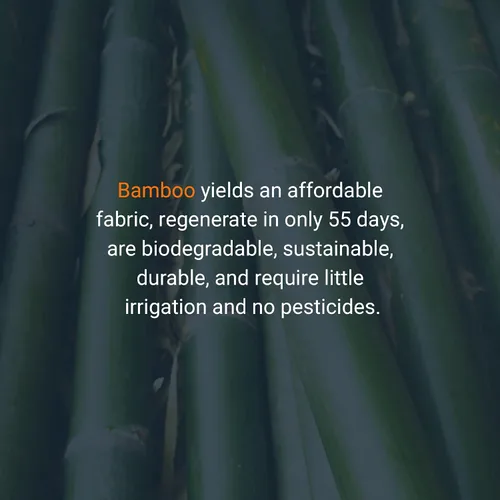 Vista 5 de Styles - Camiseta ecológica de rayón de bambú con cremallera corta para mujer