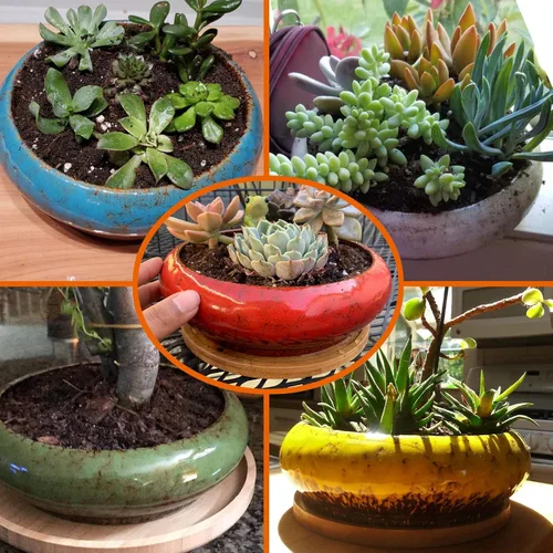 Vista 6 de ARTKETTY Macetas para suculentas – Macetas grandes para suculentas con bandeja de drenaje, 1 maceta rectangular + 1 maceta redonda para bonsái