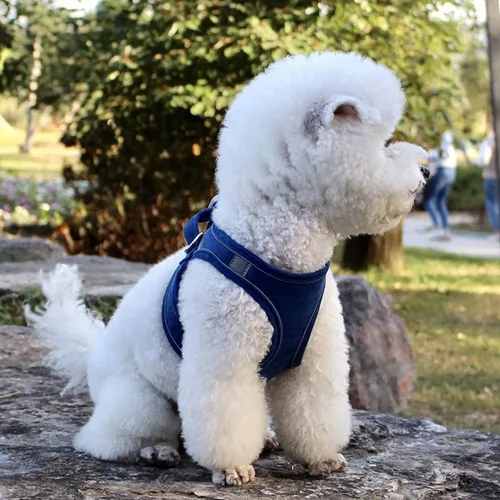 Vista 5 de Juego de arnés y correa para perro con correa para el pecho para mascotas, arnés reflectante ajustable para perros pequeños, medianos y gatos, azul