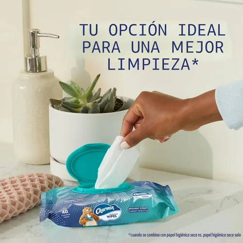 Vista 2 de Charmin Toallitas desechables, 160 toallitas en total (4 paquetes de 40)