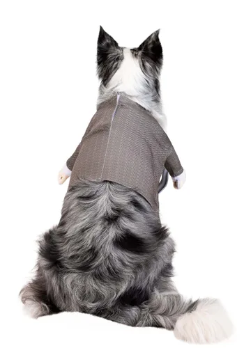 Vista 3 de Disfraz Disney Pixar Carl de Up para Perro Multicolor
