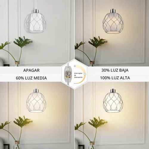 Vista 3 de Ruzectt Lámpara colgante enchufable, luz colgante con cable enchufable, lámpara colgante plateada con interruptor regulable, cable transparente