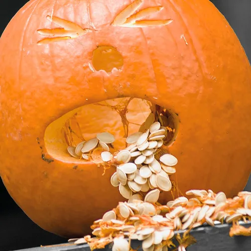 Vista 3 de Hallmark Divertidas tarjetas de Halloween (6 tarjetas con sobres) Calabaza vomitando