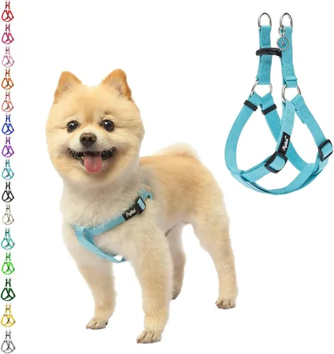 Vista 68 de Pupteck - Arnés para perros sin jalar, suave, ajustable, de nailon, talla básica, chaleco para cachorro, para caminar al aire libre con etiqueta