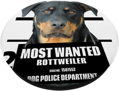 Vista 2 de Rottweiler B Black Phone Holder Mount Car Kids PopSockets Swappable PopGrip