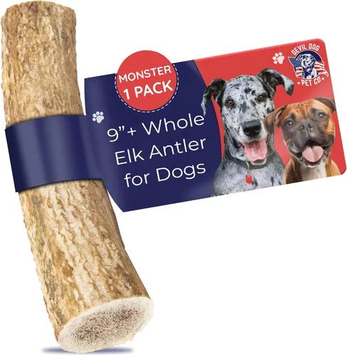 Vista 19 de Devil Dog Pet Co. Cuernos de alce divididos para perros, masticables naturales para perros con médula expuesta, larga duración y sin olor