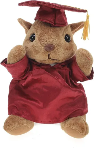 Vista 12 de Plushland Juguetes de peluche de ardilla, regalos para el día de graduación, texto personalizado, nombre o logotipo de tu escuela en el vestido, lo