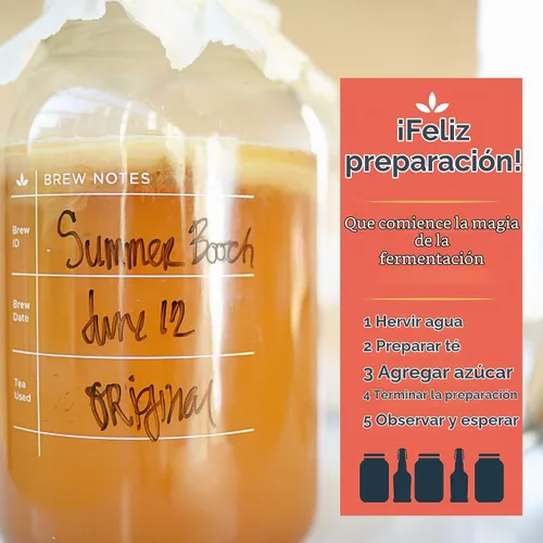 Vista 7 de Kombucha Kit principal para fermentar