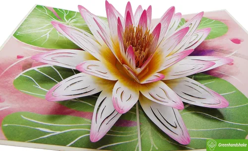 Vista 4 de Water Lily Quillipop - Tarjeta de felicitación 3D emergente hecha a mano, tarjeta de felicitación única hecha a mano para cumpleaños, día de San